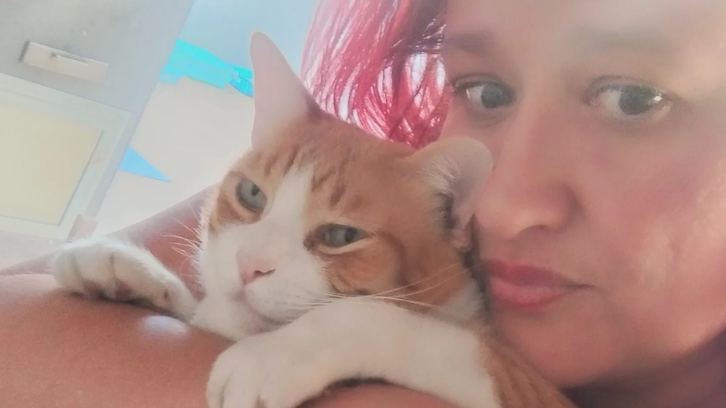 Capa de Luna Gateira 