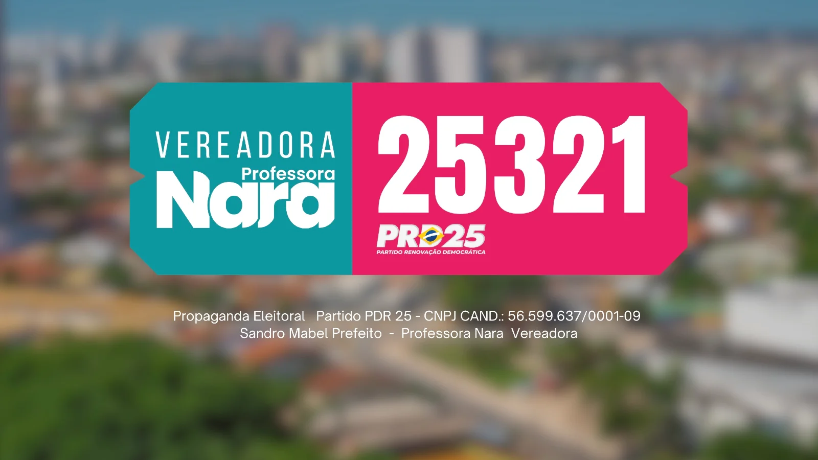 Capa de Professora Nara